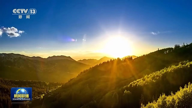 جاپانی جارحیت