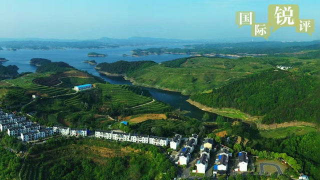 کمیونسٹ پارٹی