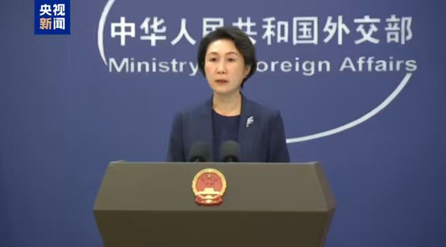 جاپانی حکومت