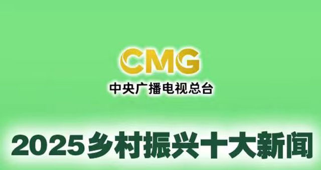 چائنا میڈیا گروپ