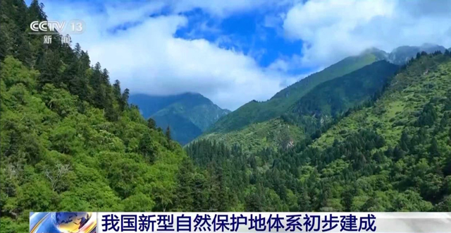 ایڈمنسٹریشن