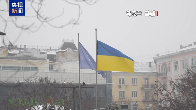 سلامتی کونسل