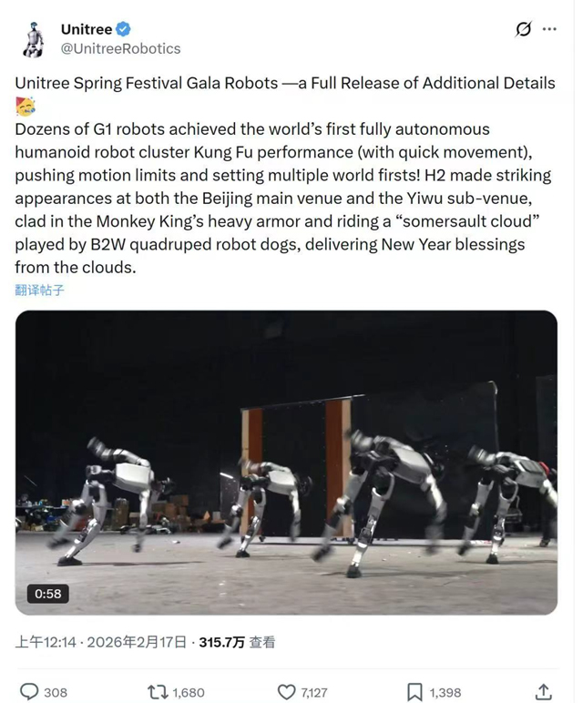 فیسٹیول گالا