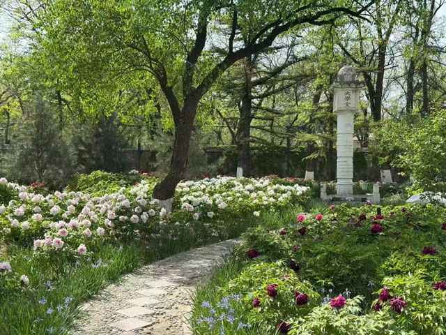 عوامی کانگریس