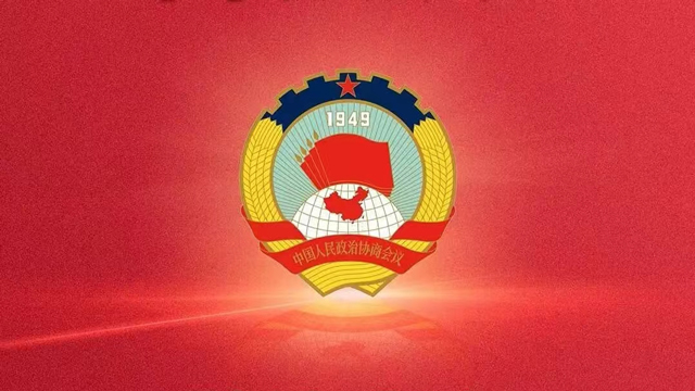 مشاورتی کانفرنس