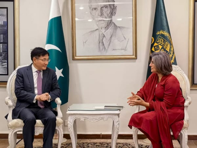 خصوصی نمائندے