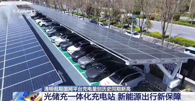 نمائندہ خصوصی