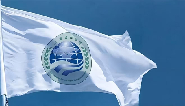 شنگھائی